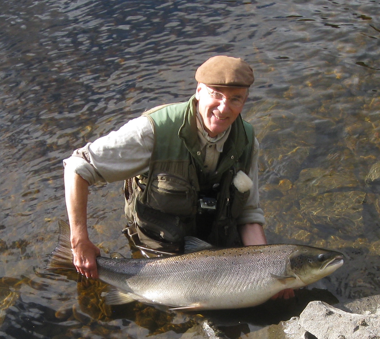 Mer gjennutsetting av hunnlaks i Gaula neste sommer!